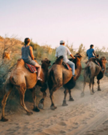 cropped-silk-road.jpg