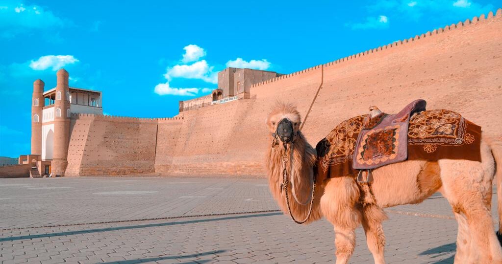 bukhara-silk-road-2