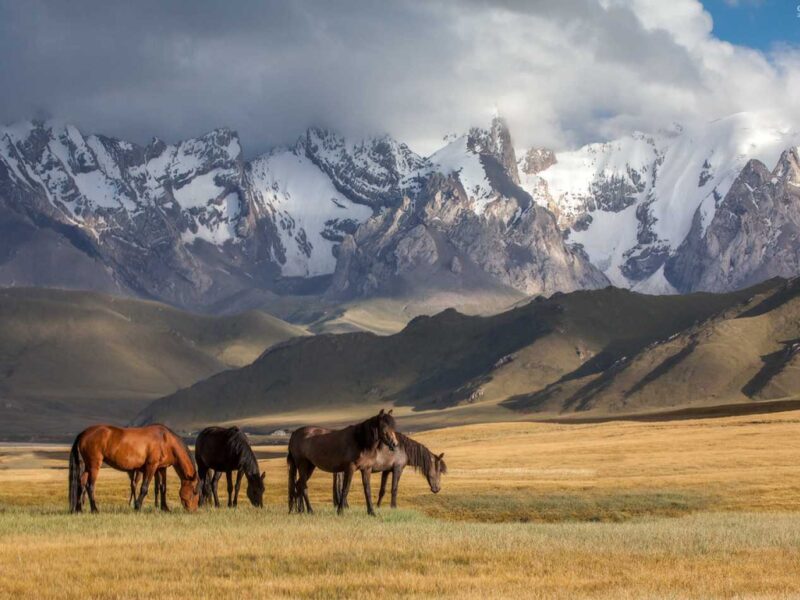 Kazakhstan: A Five-Day Adventure